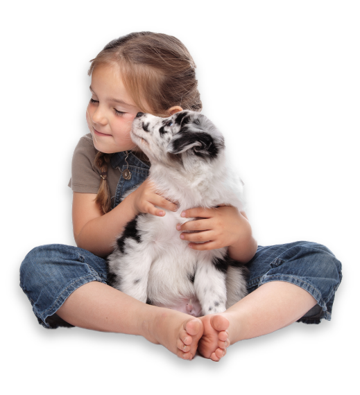 ChildDog