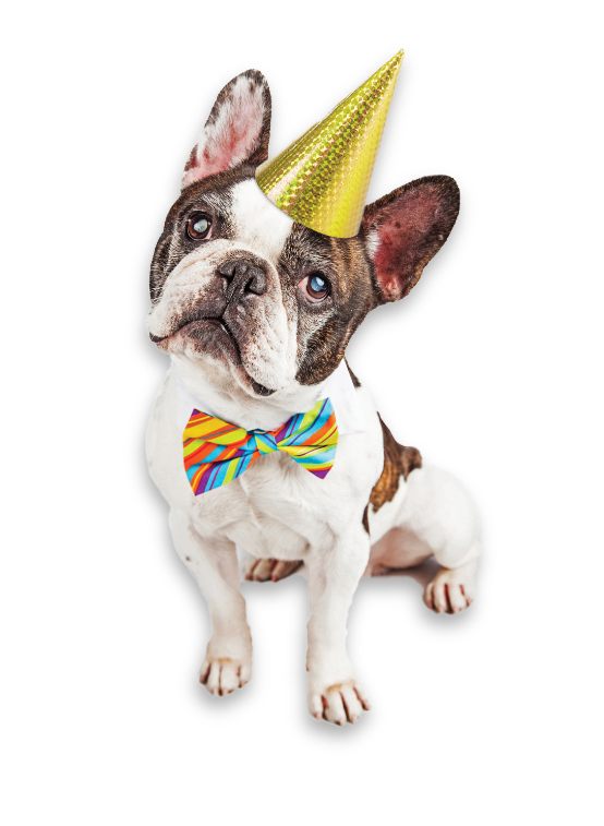 PAWTY