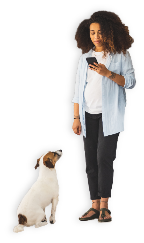 iStock-1258122499_CheckinDog
