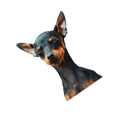 tab2img