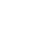 dog (2)