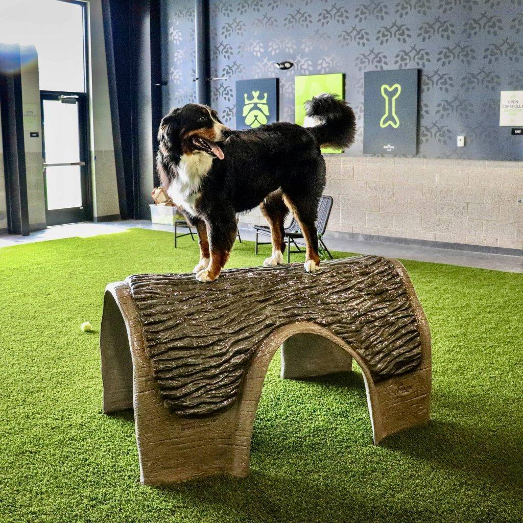 Friend’s Bar Dog Park Des Moines IA Friend’s Bar Dog Park Des Moines IA