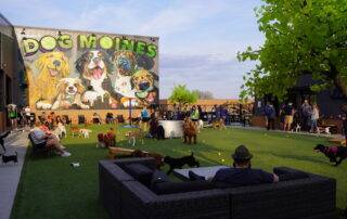 Paws & Pints dog park and bar